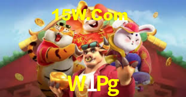 W1Pg - Installation Guide